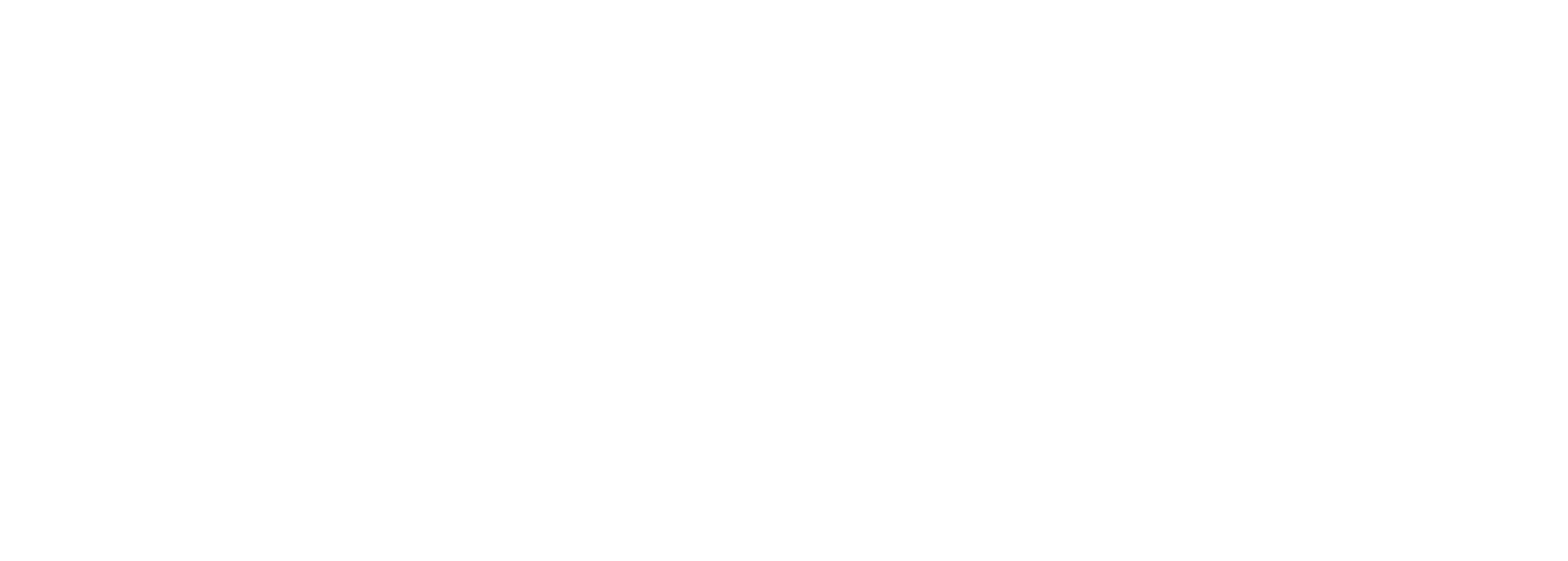 MEDIAL IMBRAIN LOGOS - FUNDACION LOGO-17